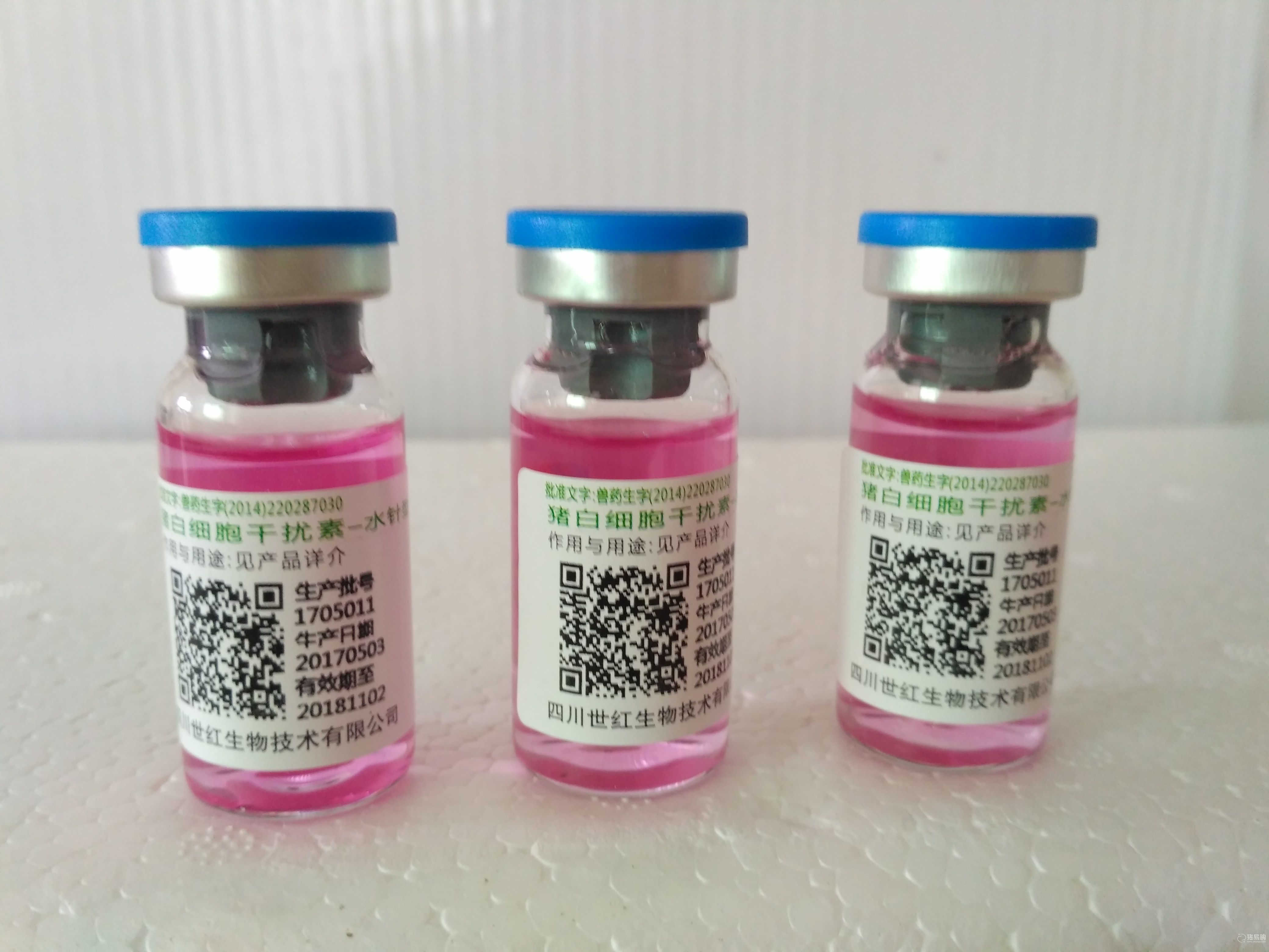 【世红】猪白细胞干扰素（水针）具有广谱抗病毒作用，用于防治猪流行性腹泻等病毒性疾病。