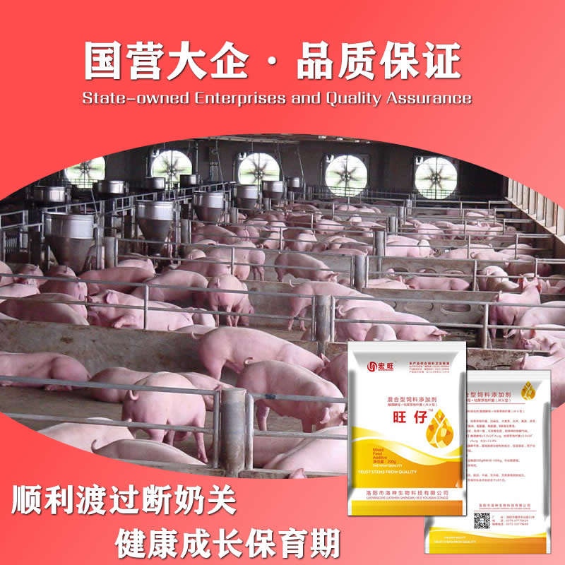 【宏旺】旺仔:解决仔猪断奶系列问题，抗应激，提高免疫，改善肠道，促进生长