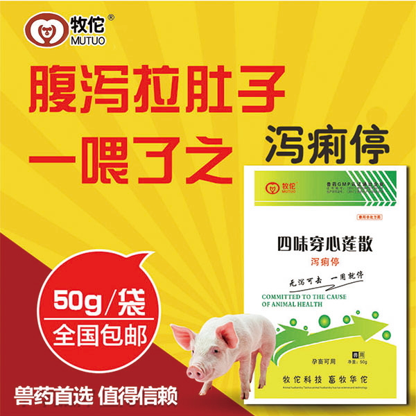 【北京牧佗】四味穿心蓮散 （瀉痢停） 用于流行性腹瀉、季節性腹瀉、仔豬黃白痢、斷奶腹瀉等，也可用于母豬過奶，凈化奶質