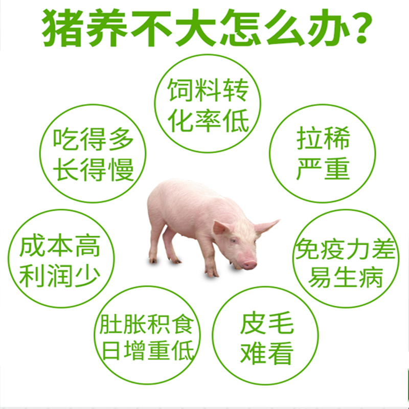 【肥美健】保育猪和肥猪的钱袋子倍增器（育肥猪专用）